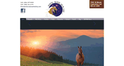 Desktop Screenshot of horsesensehealing.com